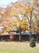 Cedar Valley Lodge